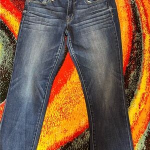 American Eagle Outfitters Blue Boot Cut Jeans